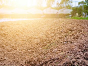 Surface level of agricultural field