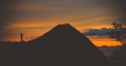 Silhouette of trees at sunset