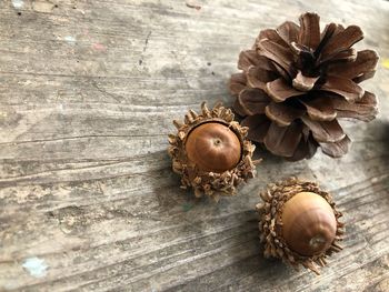 Close-up of pine cone on table