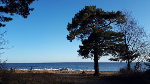 Scenic view of sea against clear blue sky