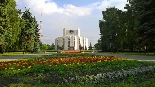 Grass growing in front of building