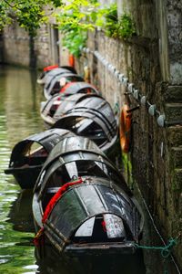 Close-up of bicycle by tree trunk