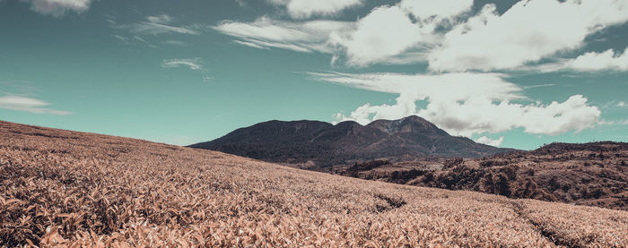 Panoramic view of landscape against sky