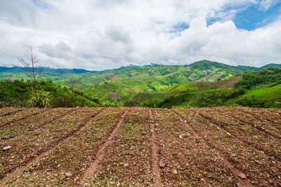 Scenic view of field against sky