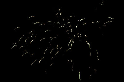 Low angle view of firework display over black background