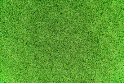 Artificial grass background, top view of artificial grass background