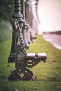 Close-up of grass in park