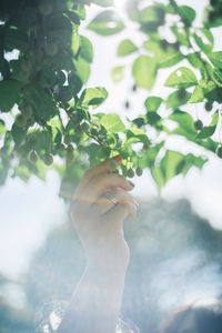 Midsection of woman holding plant