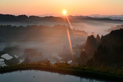 Rice fields at sunrise