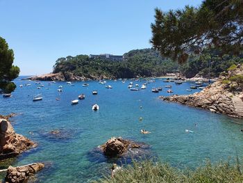 Cala aiguablava, begur, girona, catalonia, spain