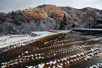 Scenic view of snow covered field against sky