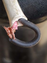 High angle view of bird hanging on metal