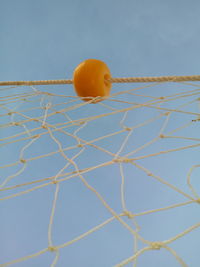 Close-up of yellow leaf against blue sky