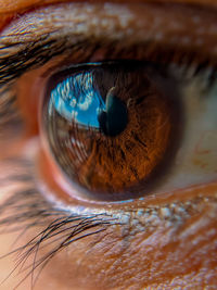 Close-up of human eye