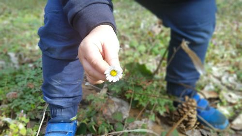 Low section of child holding flower