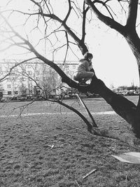 Man sitting on field by bare tree