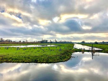 Scenic view of river against sky