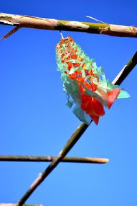 Low angle view of flowers against clear blue sky