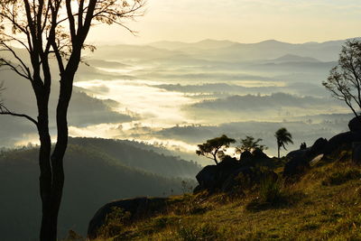 Scenic view of landscape against sky during sunset