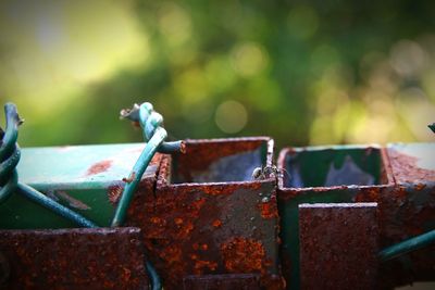 Close-up of rusty metal