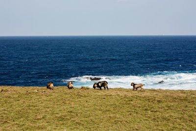 Scenic view of sea against clear sky