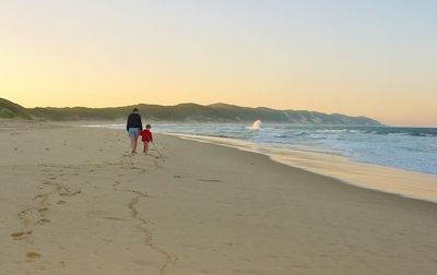 Rear view of people walking on beach against clear sky