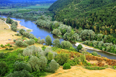 Scenic view of river in forest against sky