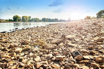 Small river rhine with dry stones