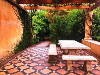 Empty footpath along plants