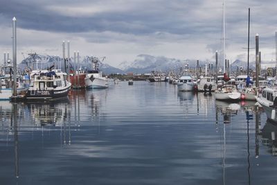 Sailboats moored in harbor against sky