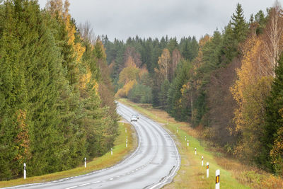 Scenic view of road amidst trees against sky