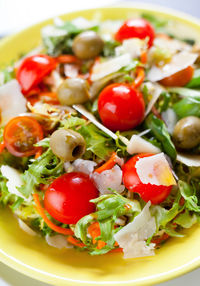 Close-up of salad served in plate