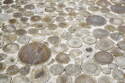 Full frame shot of paving stone