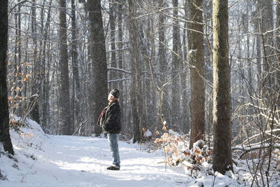 Trees in forest during winter