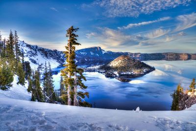 Snow covered trees by mountain against sky