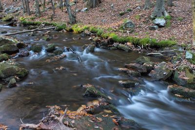 High angle view of stream flowing through landscape