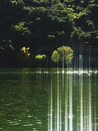 Scenic view of lake with trees reflection