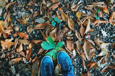 Low section of man standing in autumn leaves