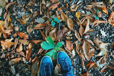 Low section of man standing in autumn leaves