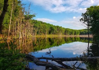 Scenic view of lake against sky