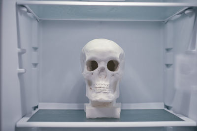 Close-up of human skull on table