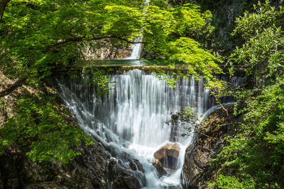 Scenic view of waterfall in forest