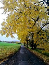 Road amidst trees during autumn