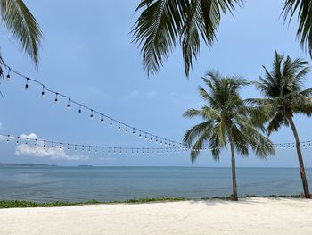 Palm trees on beach against sky