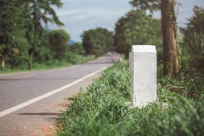 Surface level of road by trees against sky