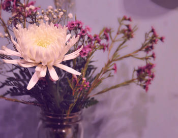 Close-up of flowers blooming outdoors