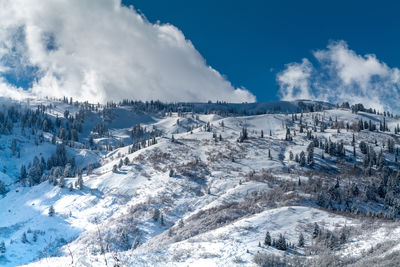 snow