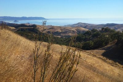 Scenic view of landscape against clear blue sky