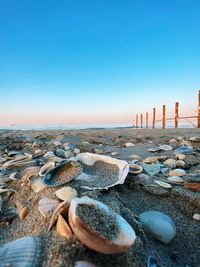 Rocks on beach against clear blue sky