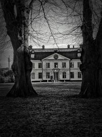 Bare trees in front of house